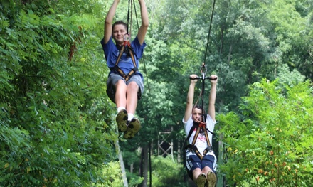 10-Line Zipline Tour for 1 Person [Online Redemption Required] - Lark Valley Zip Lines - Shoals, IN