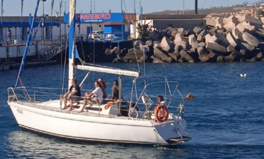 Image 5: Excursión en velero, comida y bebidas con Sailing Excursion Gulliver