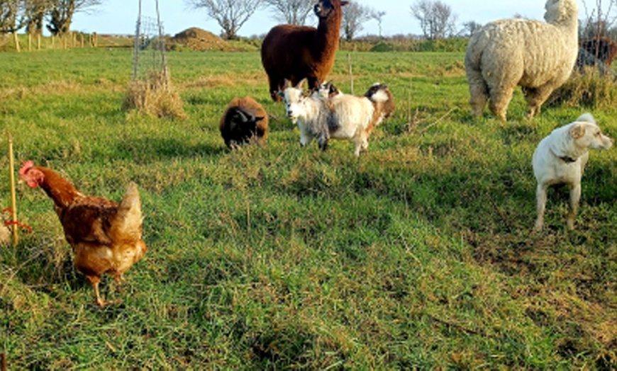 Image 6: Discover Fun with Forest/Farm School for Two or Four Children 