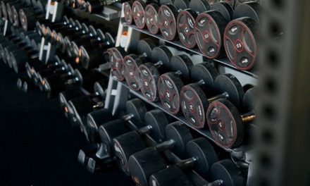 Diploma of Fitness - Compete High