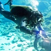 Image 5: Dive into Adventure: Scuba Lesson for Two or Four People