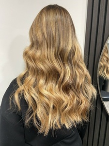 Wash, Cut, and Blowdry - Bostons