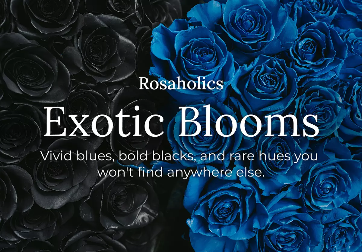 Rare. Elegant. Bold. Black Roses from Rosaholics Are The Ultimate Surprise Up to 71% Off.