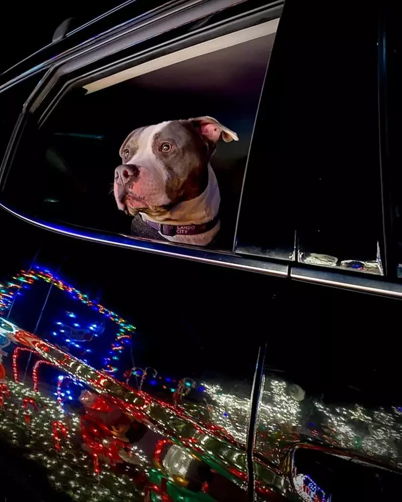 Magical Lights Adventure – Tulsa's Premier Drive-Thru Holiday Lights