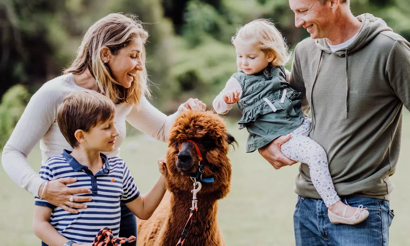 30-Min Alpaca VIP Experience: Alpaca w/ Lanyard & $5 Voucher for 1-6