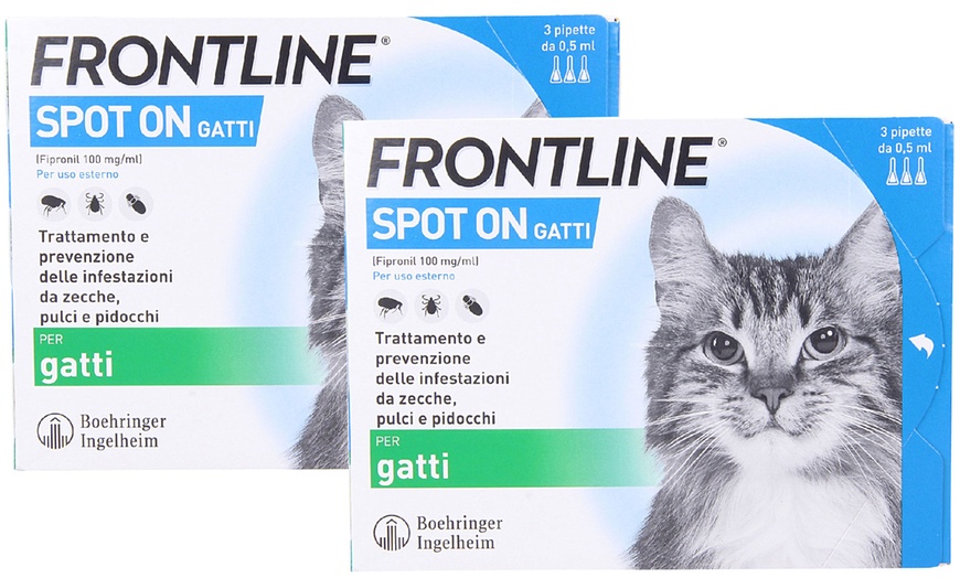 Image 2: Fino a 12 pipette insetticide e acaricide Frontline Spot On gatti