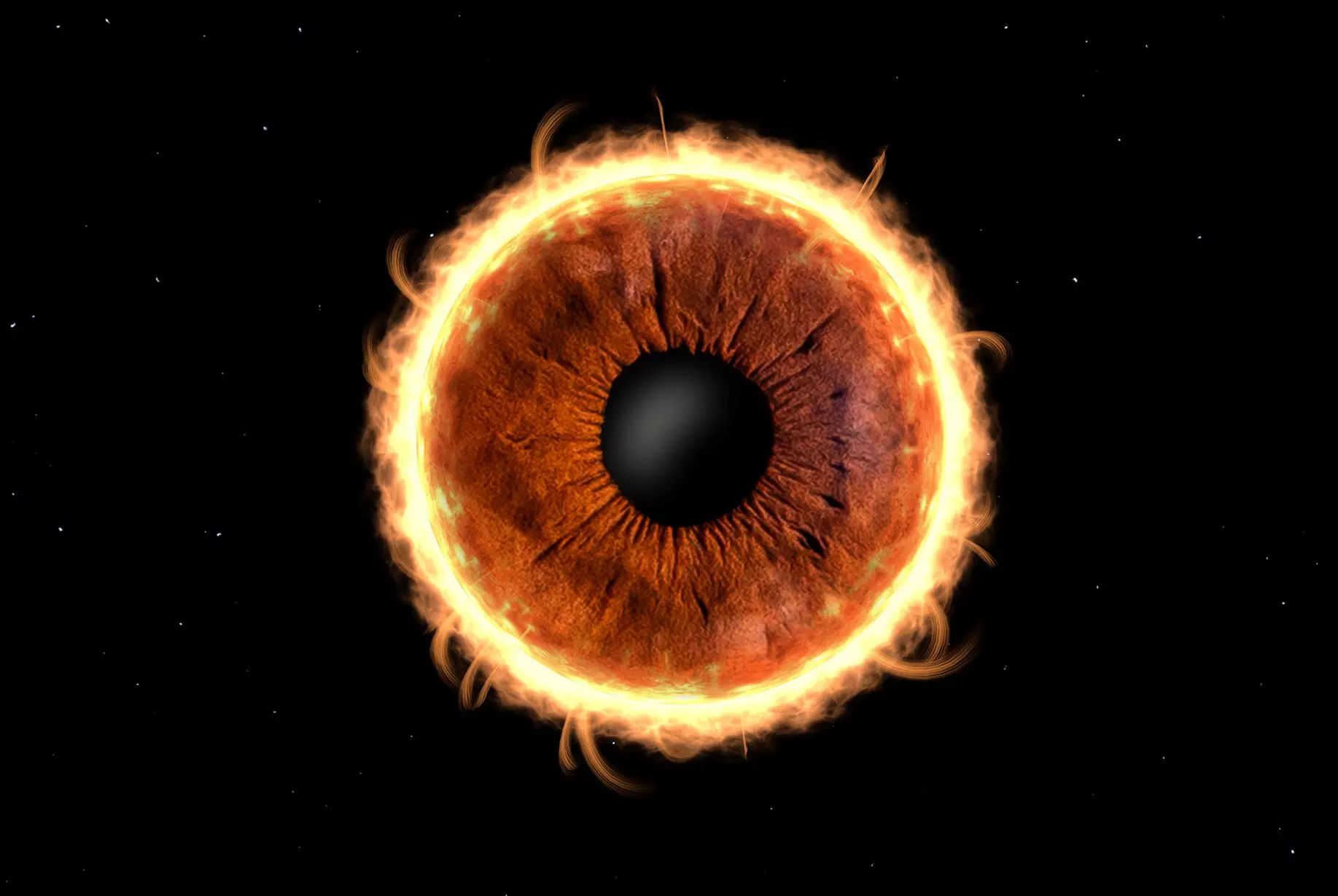 Iris-Fotoshooting inkl. digitale Datei in voller Auflösung