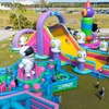 Image 5: Run, Jump & Play – Ultimate Inflatable Park Fun for All Ages