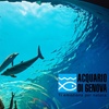 Image 1: Genova 4*: 1 o 2 notti con colazione, Acquario e Biosfera
