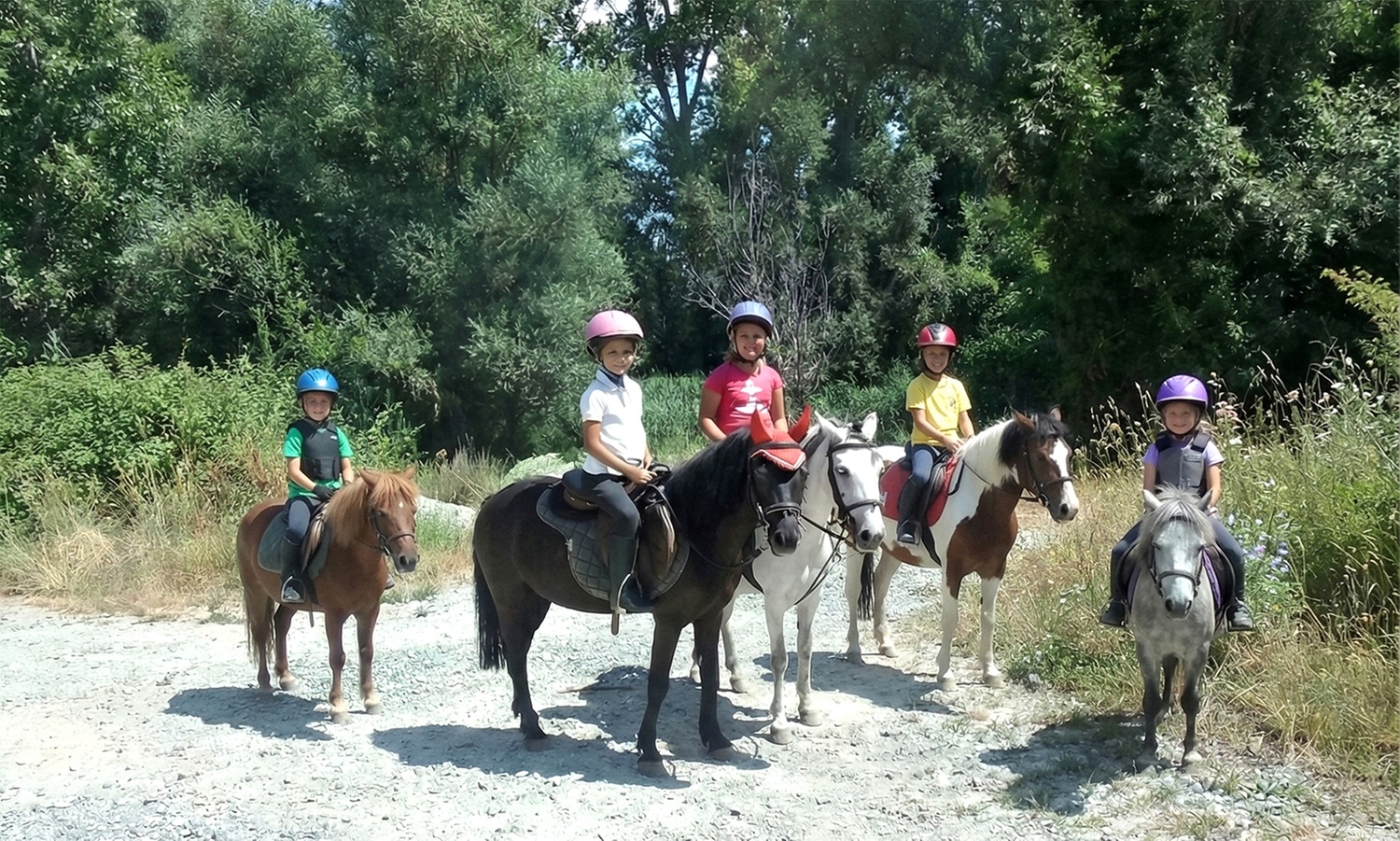 Paseo en poni de 30 minutos para 1, 2 o 3 niños
