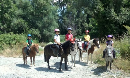 Paseo en poni de 30 minutos para 1 niño - Escuela Hípica Sibaris
