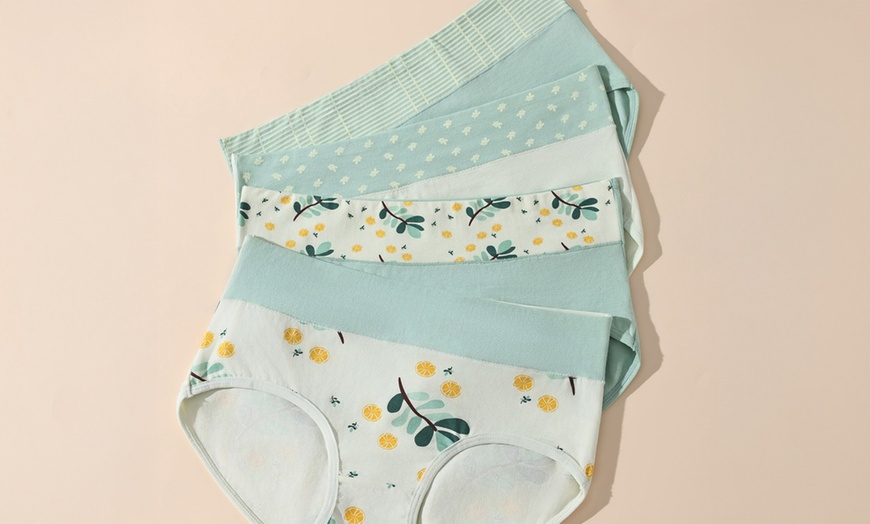 Image 4: 4er- oder 8er-Pack hochtaillierte Damen-Höschen