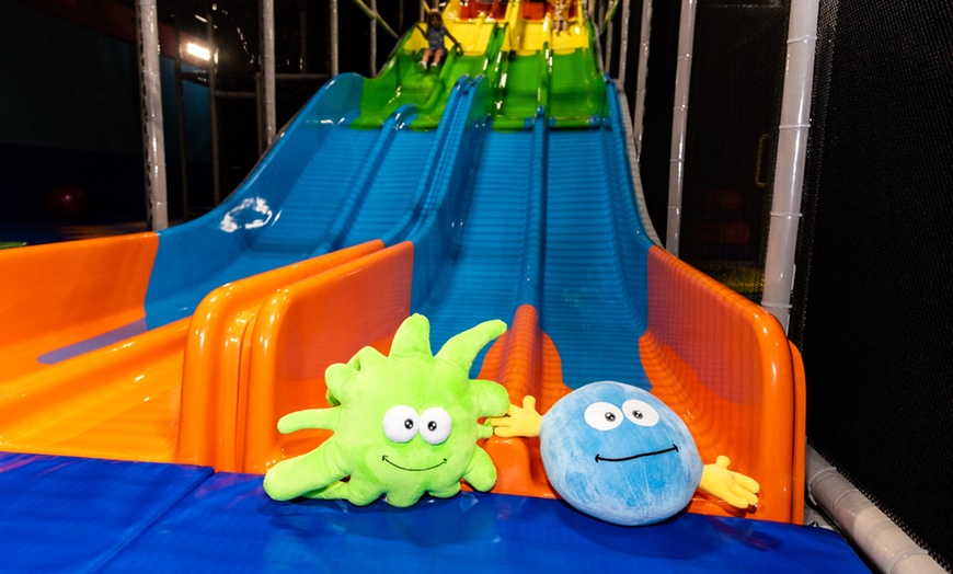 Image 3: All-Day Play Pass & Parties at Ball Factory Mt. Prospect