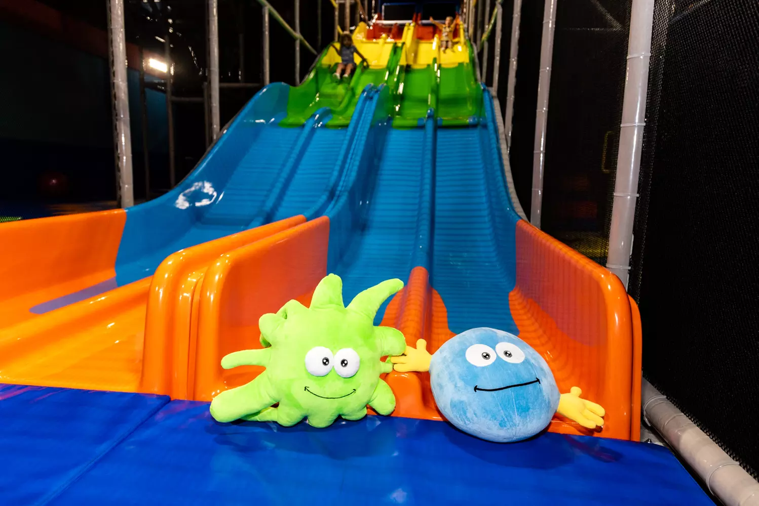 All-Day Play Pass & Parties at Ball Factory Mt. Prospect