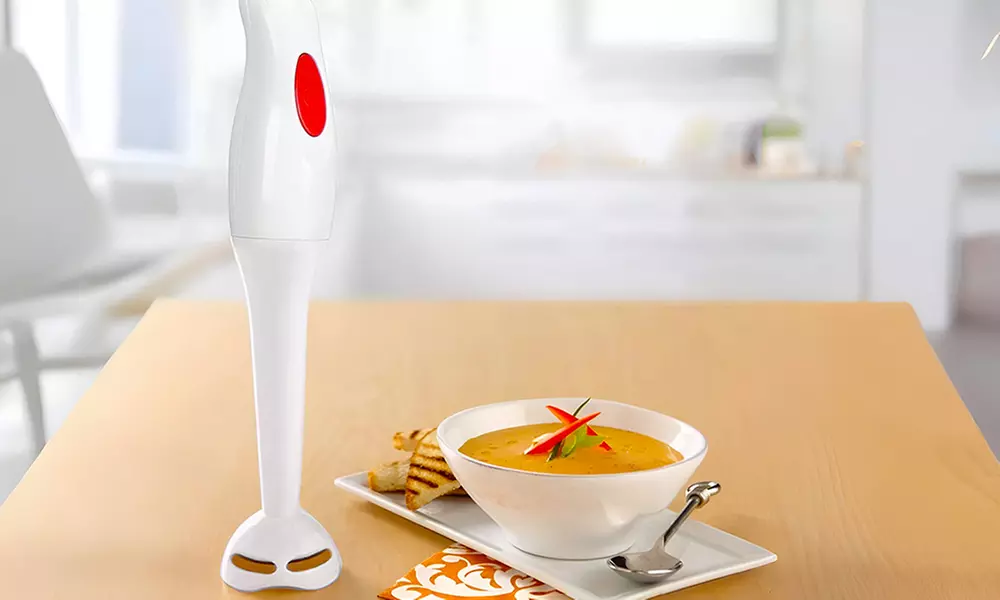 Stabmixer mit Hochleistungsmotor