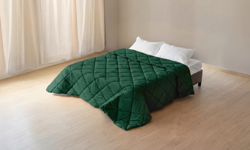 Image 15: Trapunta invernale matrimoniale in velluto