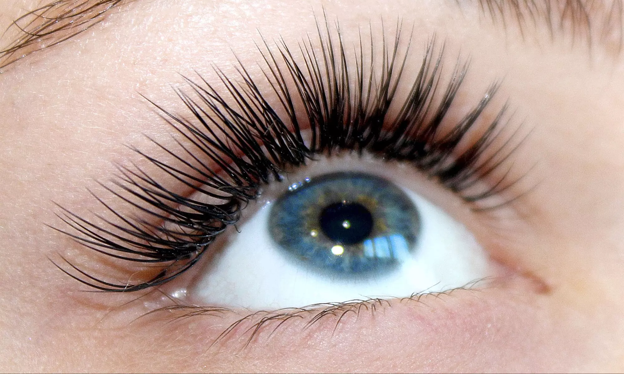 Classic or Volume Lash Extensions + 3-Week Refill Option