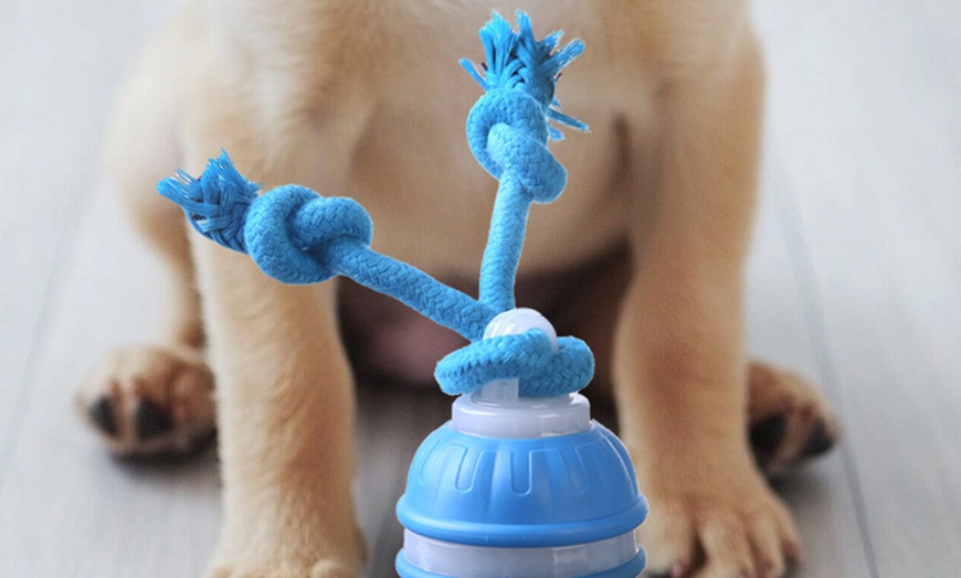 Image 8: Interactive Rolling Ball Toy
