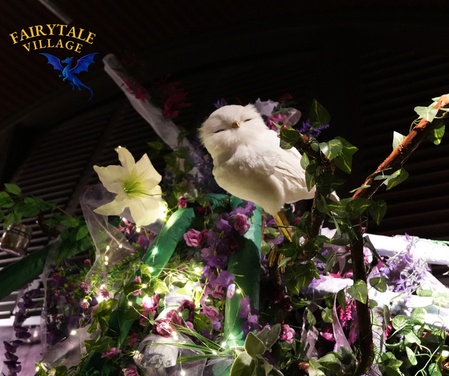 What to expect media