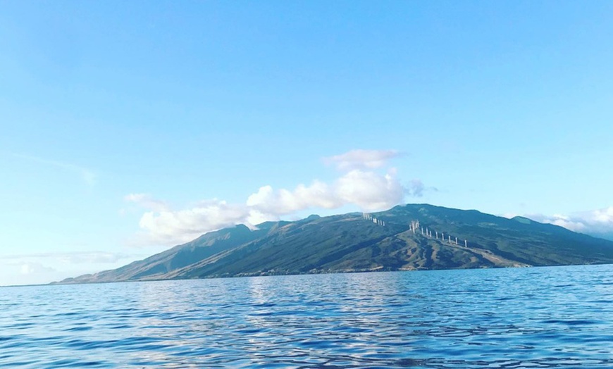 Image 9: Whale Watching at 1:00 PM – Tickets for Adults, Kids & Families