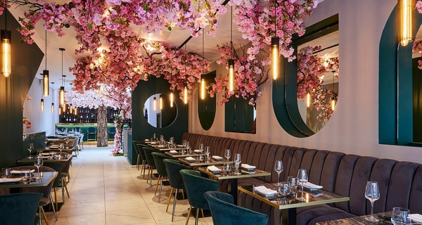 4-Course Japanese Meal Experience; For Couples, Friends, or Groups