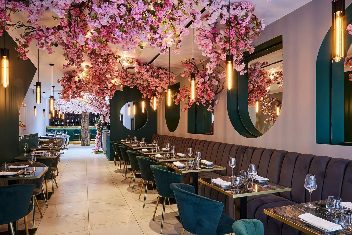 Japanese Bottomless Brunch w/ Bottomless Sake in Doumo Restaurant