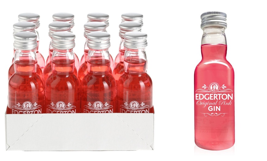 Image 1: Edgerton Pink Gin Miniatures