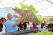 Hands‑On Urban Farm & Aquaponics Tour + Educational Laboratory: Small to Large Groups  (Up to 27% Off) - Second Medium
