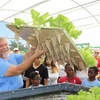 Image 2: Aquaponic & Garden Tour: Family (6), Club (7–12), or School Groups