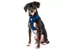 FurHaven Pet Easy Comfort Mesh Dog Harness - Second Medium