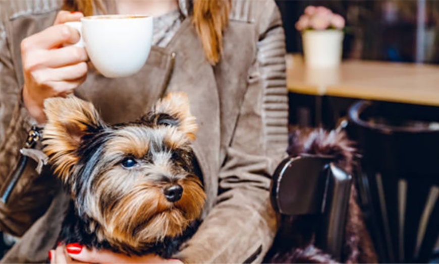 Image 3: Satisfy Your Cravings by Grabbing Your Coffee / Meals Worth Up to $100