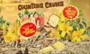 Counting Crows: The Complete Sweets! Tour W/ The Gaslight Anthem on July 27 at 7:30 p.m.