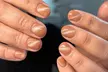 Explore Classic or Structured Gel Manicure or X Extensions (Solid Color Only) at Libra Lux (Up to 26% Off) - Second Medium