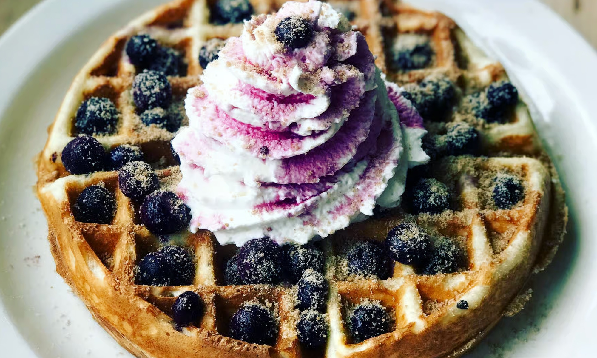 Sweet or Savory Signature Waffle OR Legendary Scone Sandwiches