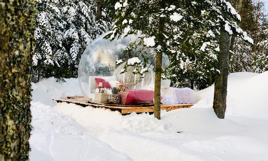 Image 7: Accommodation in a Bubble Tent