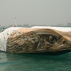 Image 2: Unwind on the 35-Ft Golden Falcon – 1, 2 or 3-Hour Cruise for Up to 8