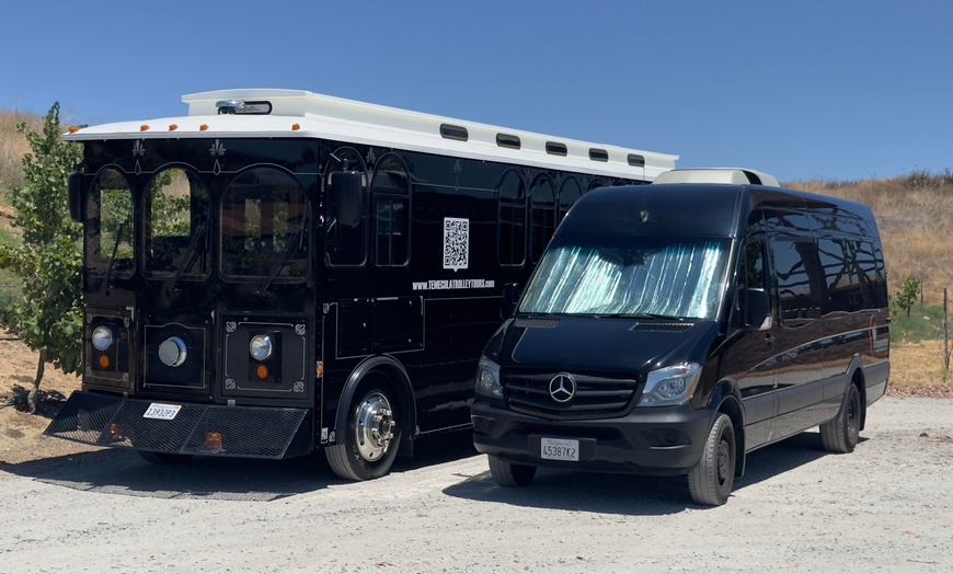 Image 5: Experience a Temecula Wine Tasting Tour w/ Optional Lunch for One