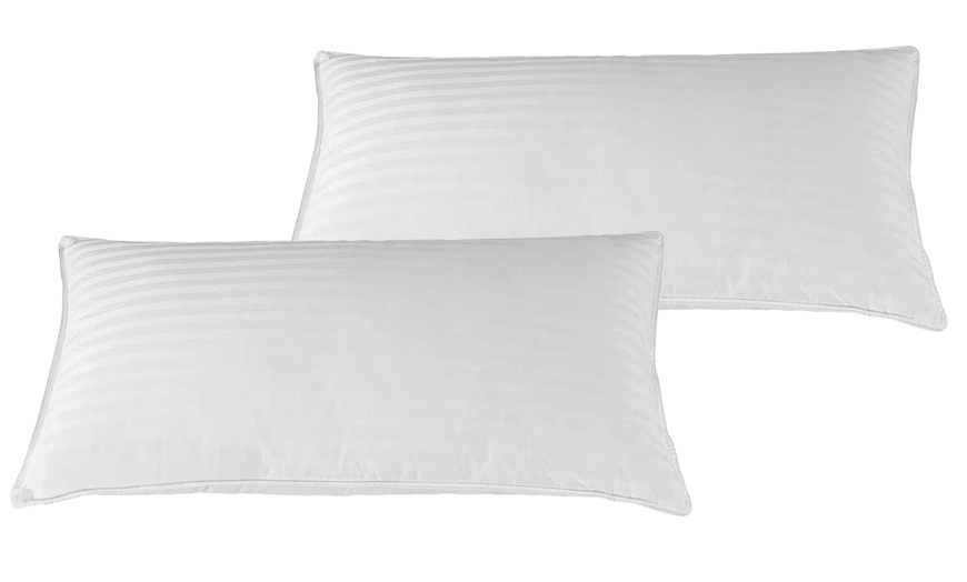 Image 4: Palace Feather Pillows, veren en dons, Sampur
