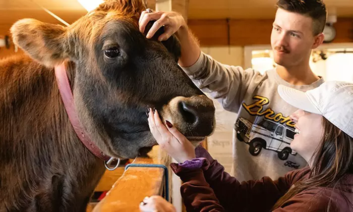 Experience Billings Farm And Museum's History Museum