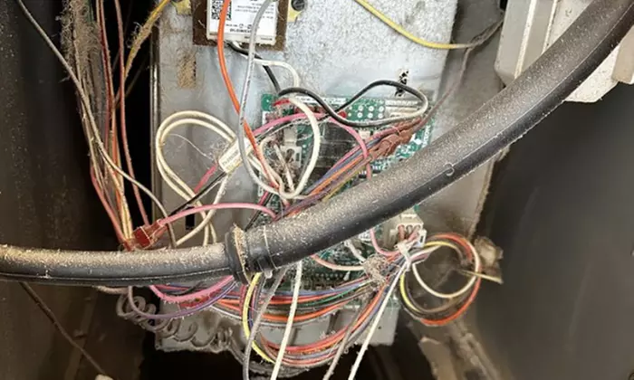 Whole-House Air-Duct or Dryer Vent Cleaning Services