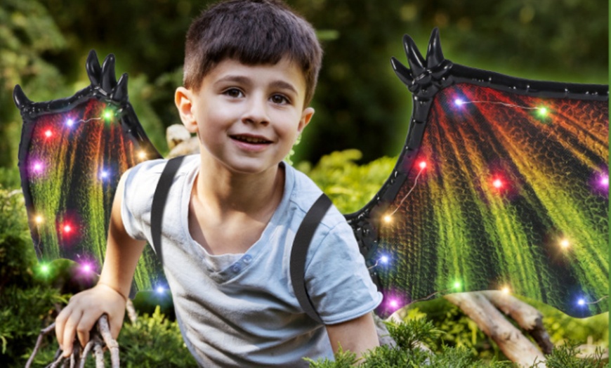 Image 6: Electric Dinosaur Wings Toys 