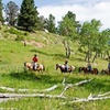Image 2: Two-Hour Trail Ride - National Park Gateway Stables