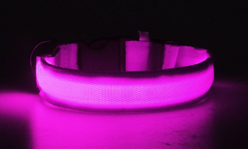 Image 3: Led-halsband voor honden