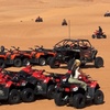 Image 4: 30 or 60-Minute Quad Bike Rental 200-250 CC (Open Desert)