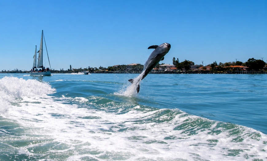 Image 5: Dolphin Racer Adventure Boat Tickets out of St. Pete Beach