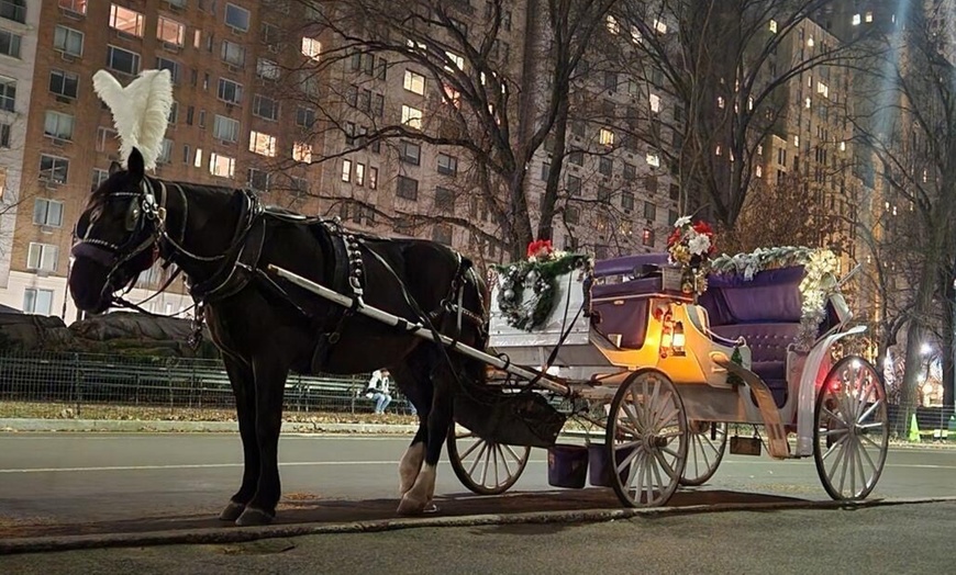 Image 1: Enjoy a 45-Minute Classic or 60-Minute Deluxe Horse & Carriage Ride 
