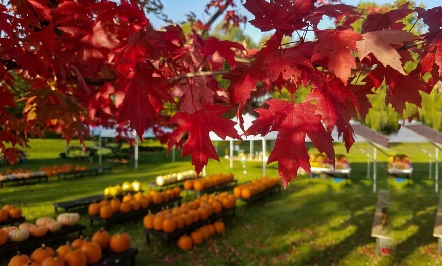 Image 7: General Admission to 40-Acre Arboretum & Botanic Gardens in Waterloo
