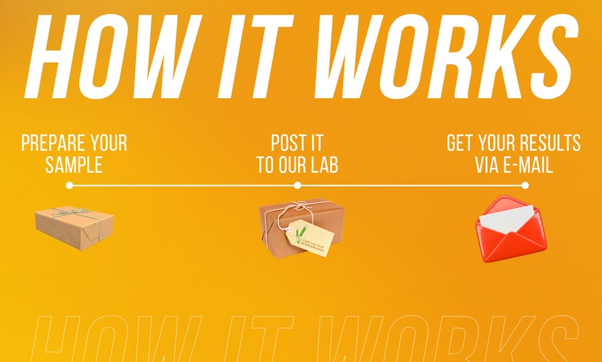 Image 8: 350, 600 or Digestive & 800 Items Sensitivity Screening Test