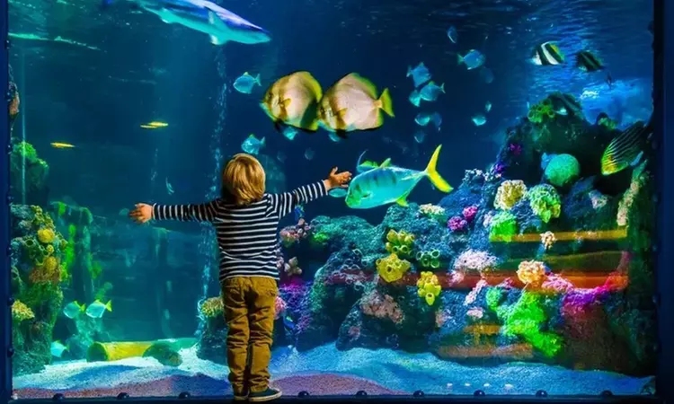 Oberhausen: 1-2 Nächte für Zwei mit Langschläfer-Frühstück & Tickets für SEA LIFE und LEGOLAND® im 4* Sup. Parkhotel - Primary Image