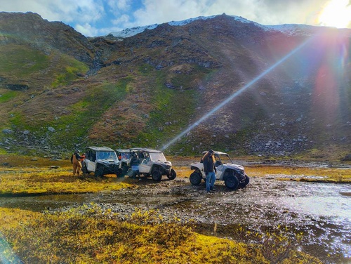 What to expect media